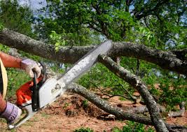 Best Utility Line Clearance  in Goose Creek Village, VA